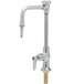 A chrome T&S laboratory faucet with a lever handle and nozzle.