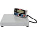 A Tor Rey digital receiving bench scale.