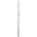 A Oneida Apex stainless steel dinner knife with a silver handle.