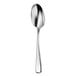 A close-up of a Oneida Perimeter silver teaspoon with a silver handle.