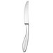 A silver Oneida Sestina dinner knife with a white background.