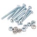 A group of screws and nuts on a white background.
