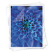 A clear laminating pouch with a blue flower and white petals inside.