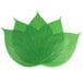 A group of green leaves on white paper.