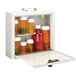 MMF Industries 201906106 Med-Master Standard Steel Medication Case with Combination Lock