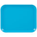 A blue rectangular tray with a white border.