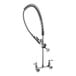 A T&S chrome wall-mounted pre-rinse faucet with a hose.