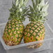 A plastic container with two Gold Pineapples.