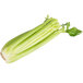 A bunch of fresh celery with green leaves.