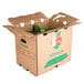 A cardboard box with Select Cucumbers inside it.