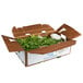 A cardboard box filled with bunched cilantro.