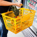 A woman holding a yellow Regency shopping basket with a pineapple in it.