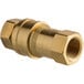 A gold metal Regency quick disconnect fitting with a nut.