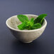 A Elite Global Solutions Santiago sandstone bowl with leaves in it.