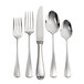 A case of 12 Oneida stainless steel European size teaspoons with a silver handle.