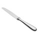 A close-up of a Oneida Baguette stainless steel dinner knife with a hollow handle.
