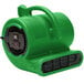 A green B-Air air blower with a black handle.