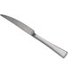 A close-up of a silver Oneida Lexia steak knife with a long handle.