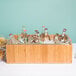 a group of bottles in a wooden box