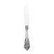 A silver Reserve by Libbey stainless steel dinner knife with a silver handle.