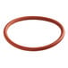 A red rubber Narvon evaporator cover O-ring.