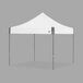 A white E-Z Up canopy with a steel gray frame.