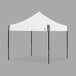 A white E-Z Up canopy with black poles.