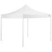 A white Backyard Pro instant canopy with poles and a triangular top.