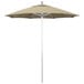 a close up of a umbrella