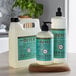 A group of Mrs. Meyer's Basil scented liquid hand soap refill bottles on a counter.