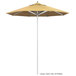 a close-up of a beach umbrella