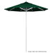 A green California Umbrella with Sunbrella canopy on a white background.