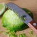 An American Metalcraft citrus zester peeling a lime.