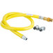 A yellow hose with silver fittings.