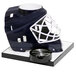 a hockey helmet with a white net