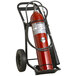 Buckeye 50 Lb. Carbon Dioxide Fire Extinguisher - Rechargeable Untagged ...