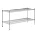 A Regency NSF chrome wire shelf kit with two shelves.