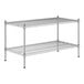 A Regency chrome wire shelf kit with two shelves.