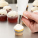 A person using an Ateco reusable pastry bag to pipe white frosting on a cupcake.