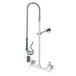 A T&S chrome wall mounted pre-rinse faucet with hose and hand sprayer.