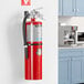 A Buckeye ABC Dry Chemical Fire Extinguisher mounted on a wall.