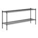 A black Regency wire shelf kit with two shelves.
