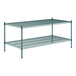 A green metal Regency wire shelving kit with two shelves.