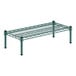 A green metal Regency wire shelf with black legs.
