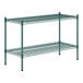 A green metal shelf with two shelves.