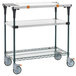 a metal cart with two shelves