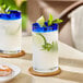 Two Acopa Tropic cooler glasses filled with water and garnished with lime and mint leaves.