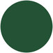 A green circle with white background.