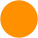 A rectangular orange label with black and white text for Roxy & Rich Neon Orange Fondust.