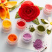 A group of Roxy & Rich Sage Petal Dust jars next to a flower with colorful powders in green, purple, red, and yellow.